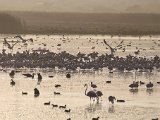 jan 009 : jan